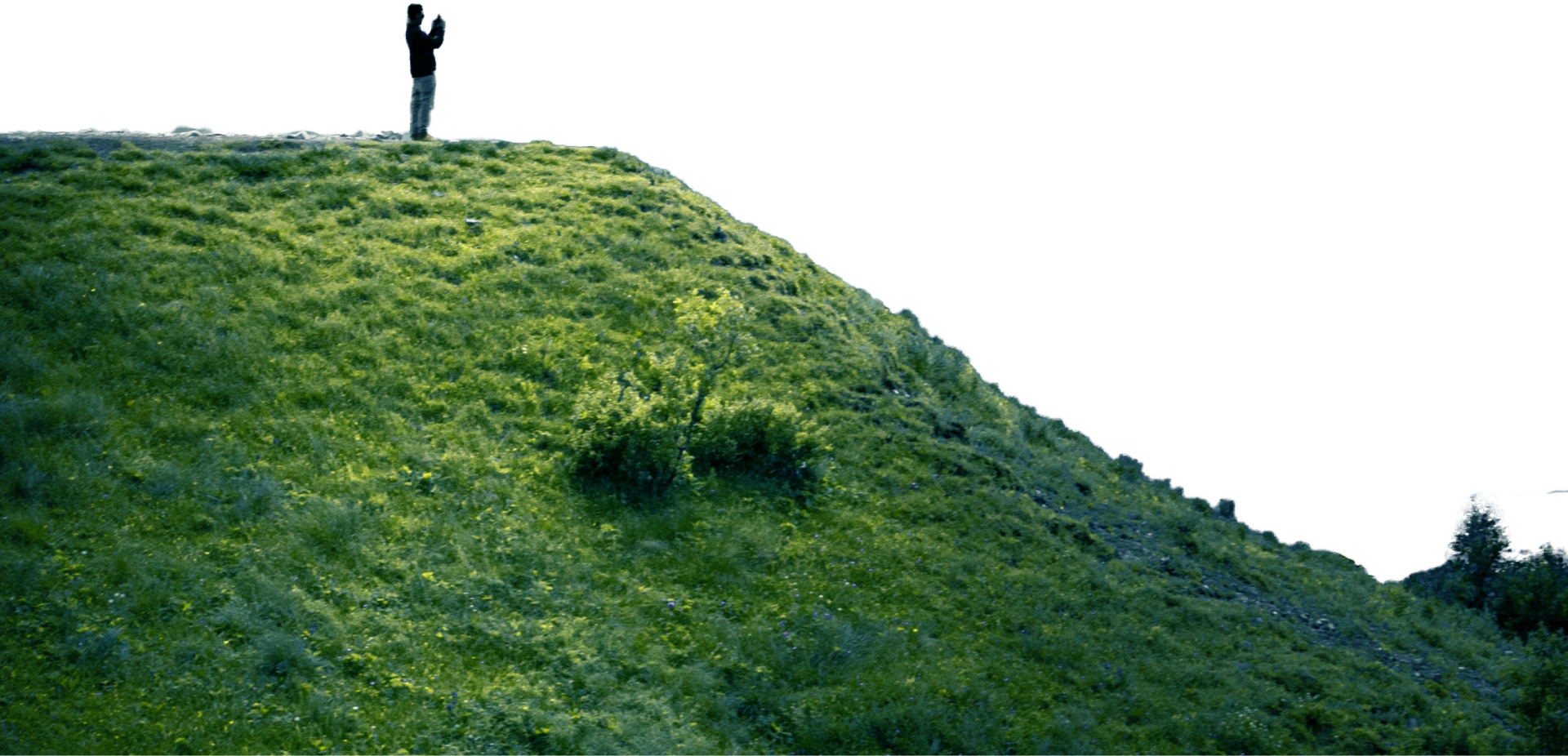 image human
